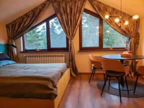 Borovets Forest view (A56)